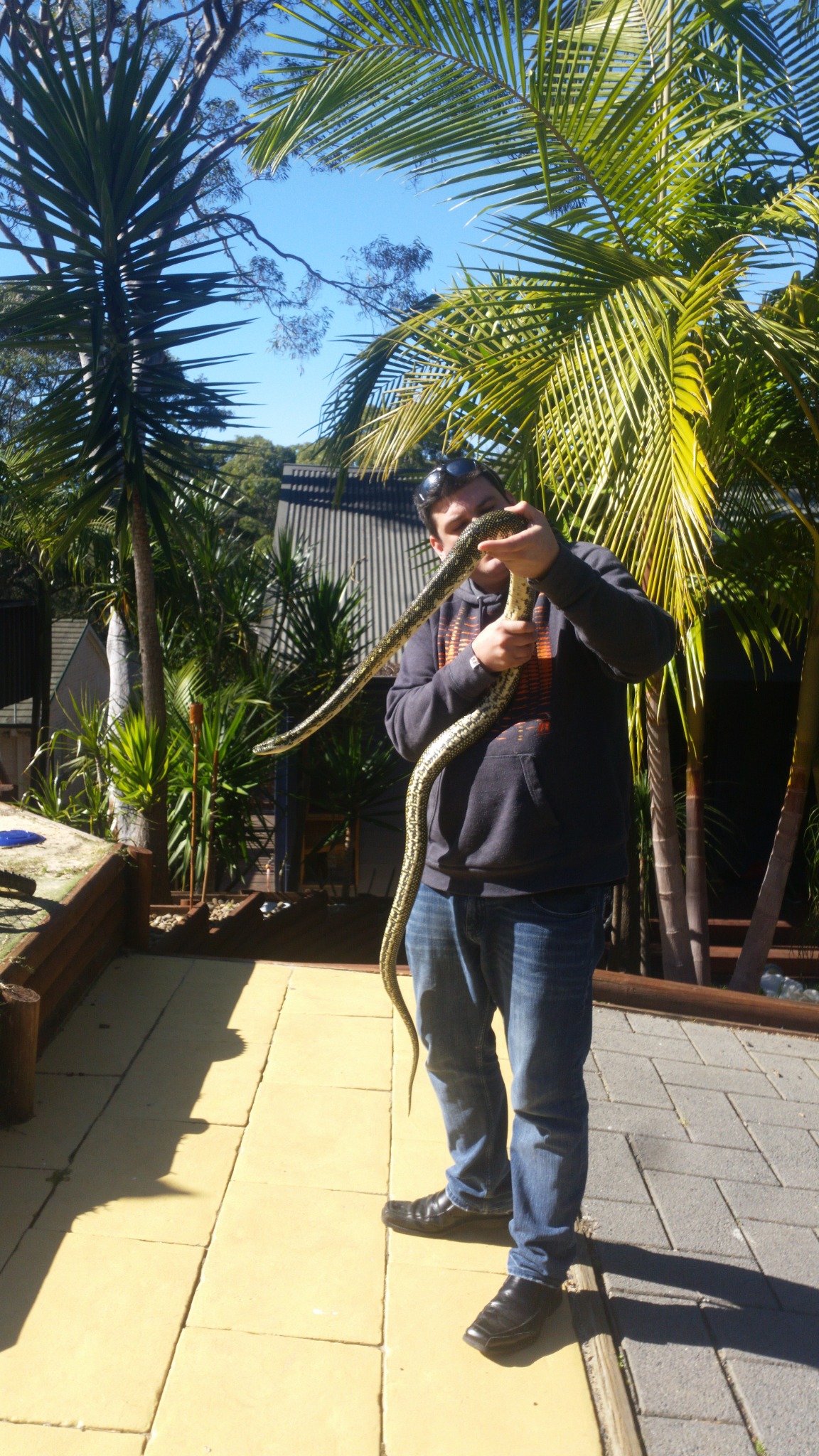 Harley Jones holding a seven-foot diamond python during a genuine call-out