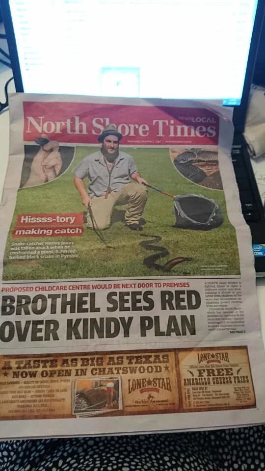 Newspaper coverage of Harley Jones with an exceptionally large Red-bellied Black Snake caught in Pymble